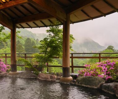 Covered stone onsen with wooden posts and flowering shrubs, misty mountain view at Yamanakaonsen Hanamurasaki Ishikawa