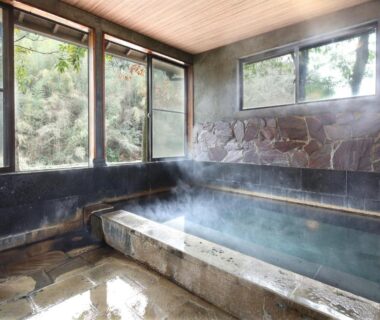 Steaming stone onsen bath with large windows overlooking trees at Yamashinobu ryokan, Kumamoto, Kyushu