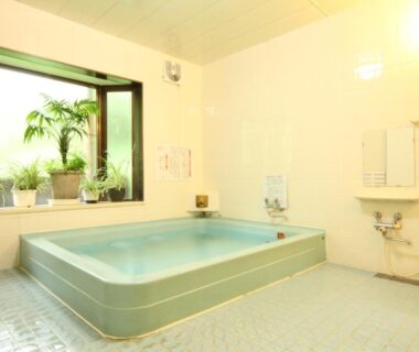 Bright tiled indoor bathing room with rectangular soaking tub and window plants at Yokokura Ryokan Nagano