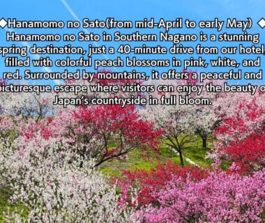 Pink, white, and red peach blossoms on terraced hillside with mountains near Yoshinotei, Nagano, Chūbu