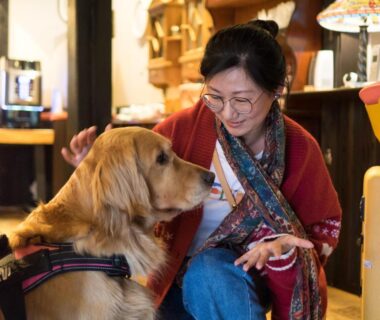 Guest petting a golden retriever in Yufuin Lamp no Yado lobby, Ōita, Kyūshū, Japan