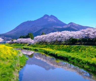 Cherry blossoms along river with mountain backdrop near Yufuin Onsen Oyado Jinnouchi in Oita, Kyushu