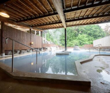 Covered communal onsen with wooden beams, stone edging, metal handrails and green hillside visible through open wall