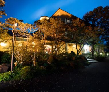 Nighttime lit ryokan entrance with trees, YufuinOnsenRyokan Mebaeso, Ōita