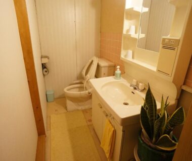 Compact ryokan bathroom with western toilet, sink, mirror and potted plant at Yufunoyado Kifu, Ōita