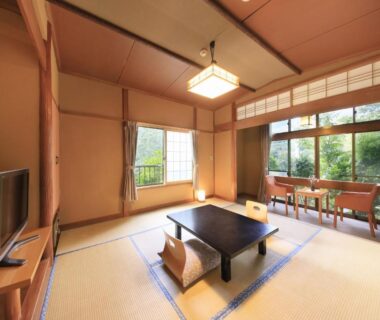 Tatami room with low table, window seating and greenery outside at Yugawara Ohnoya Ryokan, Kanagawa Japan