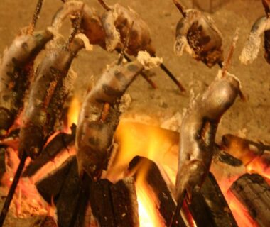 Skewered fish roasting over open flame at Yukimurasaki in Gifu, Chūbu, Japan