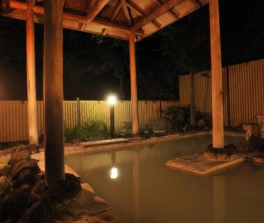 Outdoor covered onsen with wooden roof and stone edging at Yumoto Itaya in Tochigi