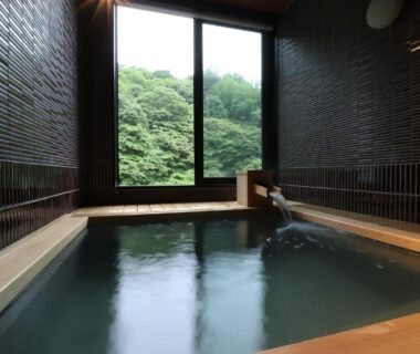 Indoor onsen bath with forest view at Yumoto Ueyama in Hyōgo, Kansai