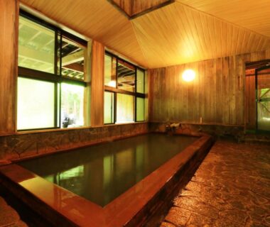 Indoor wooden onsen bath with stone floor and windows overlooking greenery, Yunohirakan, Gifu, Chūbu Japan