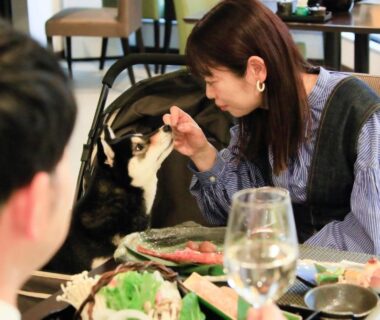 Woman feeding a dog at a ryokan dining table with Japanese dishes in Yururi Nishiizu, Shizuoka
