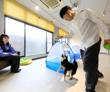 Guests playing with a dog beside a small tent in a bright indoor room at Yururi Nishiizu, Shizuoka
