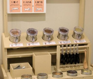 Wooden toiletries organizer with glass jars and toothbrush handles at Yururi Nishiizu, Chūbu, Shizuoka