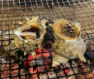 Two sea snails grilling on charcoal at Yuuzuru ryokan in Shizuoka, Chūbu, Japan