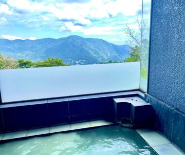 Indoor onsen bath with mountain view at gran terrace Le Lien Hakone in Kanagawa