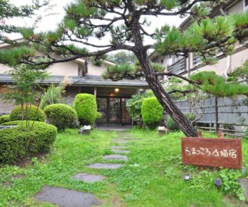 koyado kaziya