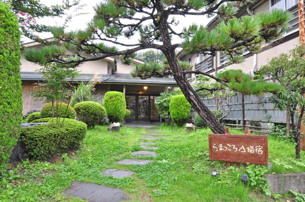 koyado-kaziya koyado kaziya