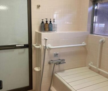 Tiled indoor bath with handheld shower and grab bars at Oyado et table Momo, Wakayama