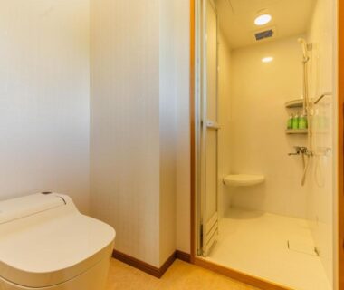Compact toilet and shower stall in ryokan room at Kiyoshigekan, Gunma, Kantō