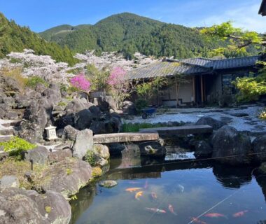Suikōen Sakura