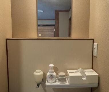 Wall-mounted sink with mirror and light, toiletries on shelf, Ryokan Tsuruya, Nagano, Chūbu, Japan