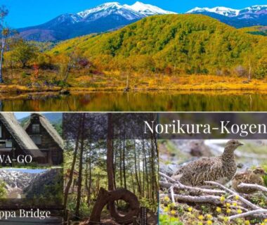 Snow-capped mountain panorama with wetlands, Piporo Norikura, Norikura Kogen, Nagano Japan