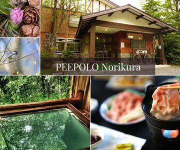 Piporo Norikura