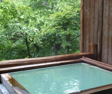 Wooden outdoor onsen bath framed by wooden fence and lush green forest at Piporo Norikura, Nagano