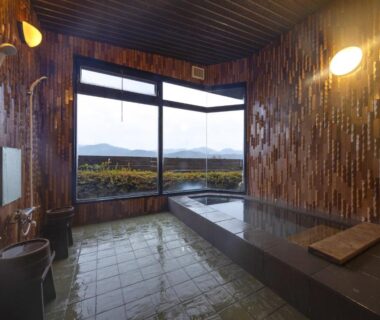 Indoor wooden onsen bath with mountain view at Magohachi auberge acceptant les animaux, Chūbu Gifu Japan