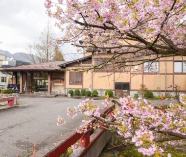 Entrance framed by blooming cherry blossoms at Ichisui-sō in Niigata Chūbu region