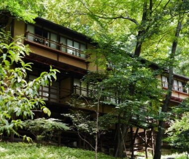 Elevated wooden ryokan buildings surrounded by lush forest at Nakadana-sō in Nagano, Chūbu