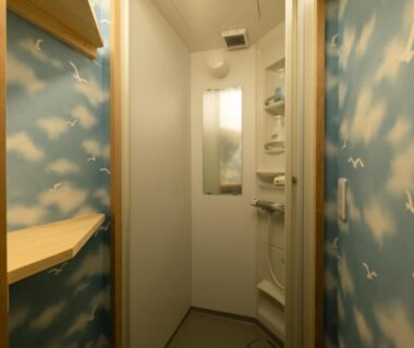 Narrow shower cubicle with sky and seagull wallpaper, handheld shower and mirror at Yakuōin in Nagano