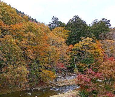 River and colorful autumn trees near Banshō Nasu-Shiobara in Tochigi, Kantō