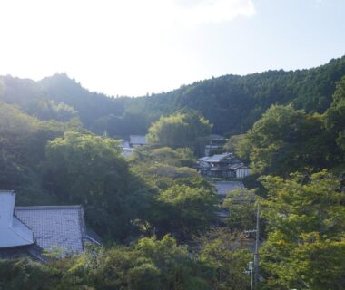 Forest-covered hillside with traditional rooftops near Hôtel touristique Tōnomine in Nara, Kansai