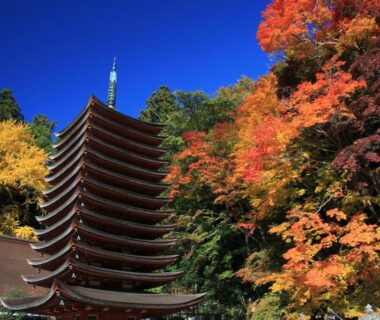 Multi-tier pagoda at Hôtel touristique Tōnomine in Nara, Kansai with autumn foliage