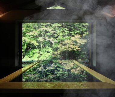 Steaming indoor wooden bath reflecting a lush forest through a large window