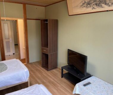 Two single beds in a simple room with wooden floor, TV, and sliding door at Awa Resort Rinkai Garyū, Chiba