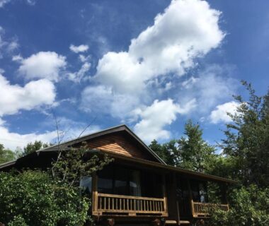 Wooden ryokan balcony framed by trees and blue sky at 山荘 紗羅樹 Syaranoki in Ōita Kyūshū