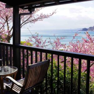 Balcony seating framed by cherry blossoms overlooking the coast at Kiri no Kaori Sakura Shizuoka