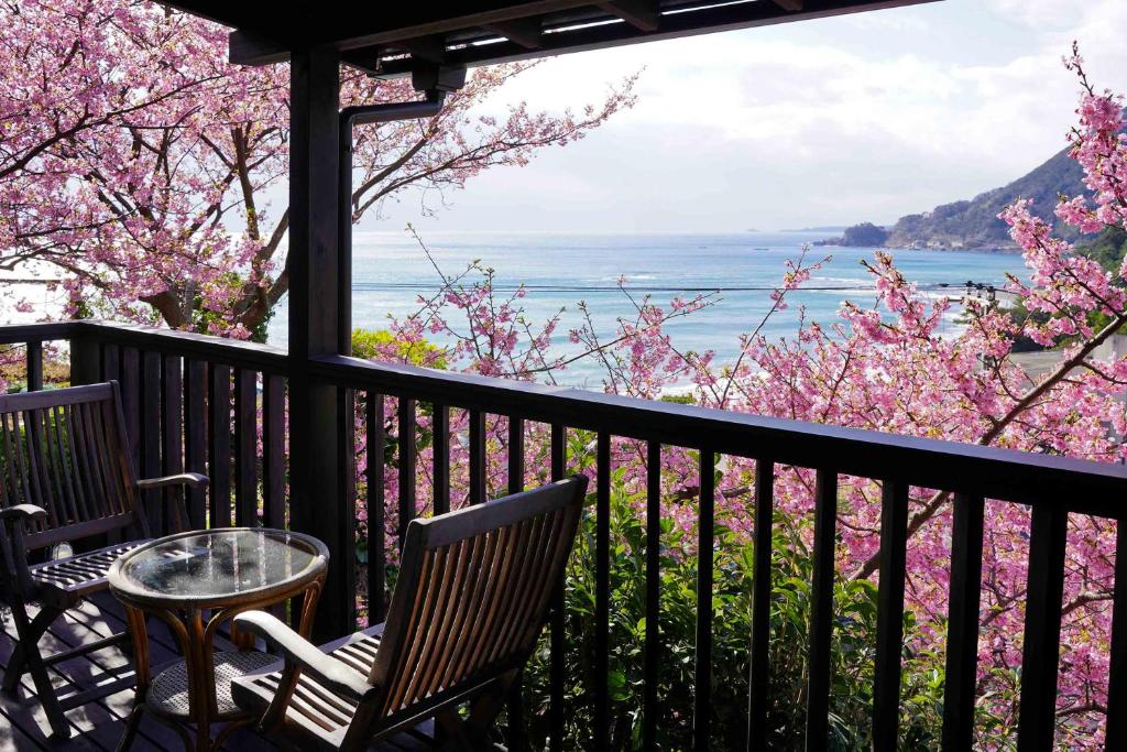 Cherry blossom balcony Kiri no Kaori Sakura Shizuoka Balcony seating framed by cherry blossoms overlooking the coast at Kiri no Kaori Sakura Shizuoka