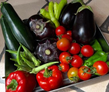 Assorted fresh vegetables including eggplants, cherry tomatoes, bell peppers and zucchini at Morinouta in Nikko