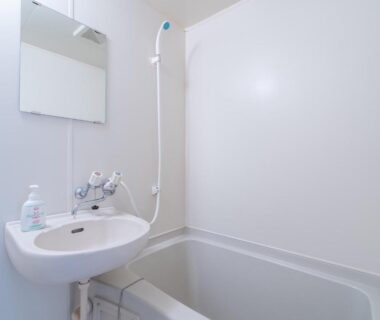 Small white bathroom with bathtub, handheld shower, sink and mirror at Kitakaruizawa Kogen Hotel in Gunma