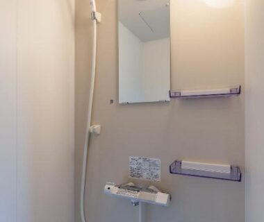 Compact ryokan shower area with handheld shower, wall mirror, control knobs and shelving at Rakushinkan Ōita
