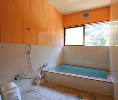 Small indoor tiled soaking tub with shower stools and wooden wall paneling at Minshuku Hiroshige in Oita, Kyushu