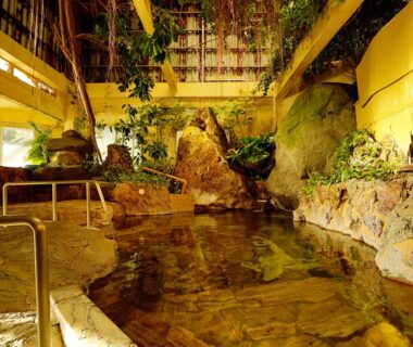 Ichinose, auberge paisible entre eau et verdure