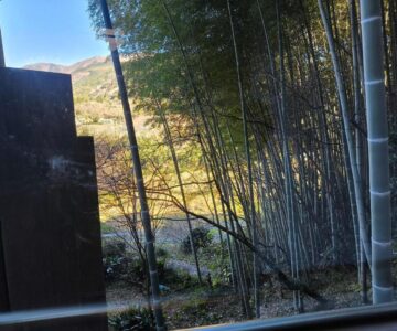 Amakawa Ryokan, Kawazu