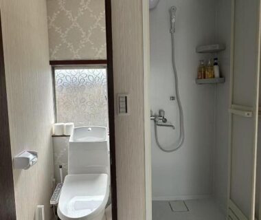 Compact toilet with frosted window and adjacent enclosed shower at Futago no Yado, Asakusa, Tokyo