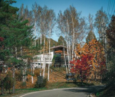Winding road and birch trees leading to Sansō Watari auberge thermale in Nagano