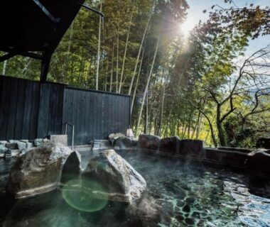 Rock-lined outdoor onsen bath at 源泉掛け流しの宿Albergo湯楽, Kanagawa with bamboo grove and distant hills