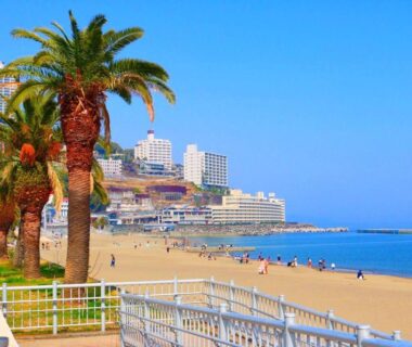 Palm trees along sandy beach near Ryokan Hōetsu in Atami, Shizuoka, Chūbu region